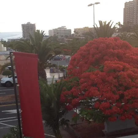 Lovely In Cristianos Los Cristianos (Tenerife)