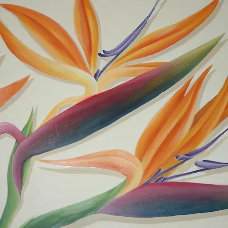 Hébergement de vacances Lovely In Cristianos Los Cristianos (Tenerife)