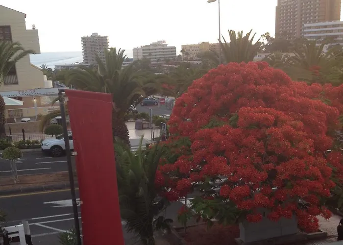 Lovely In Cristianos Los Cristianos (Tenerife)